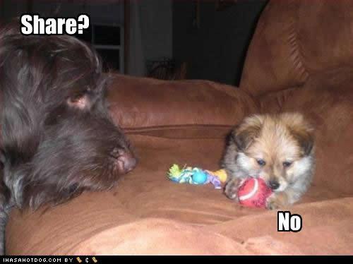 Share?
