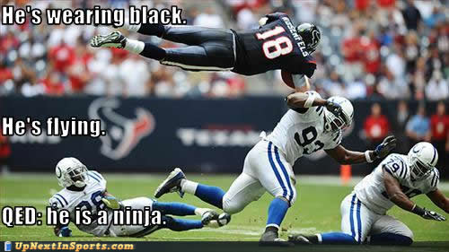 Ninja